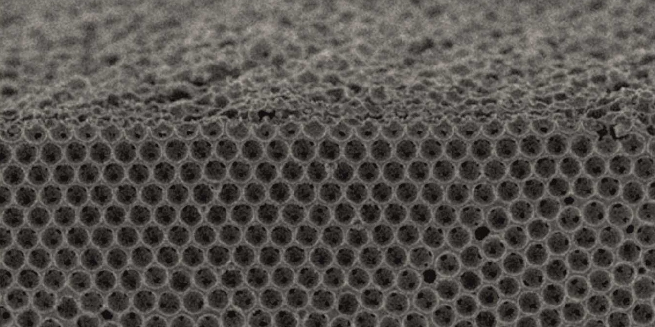 To the page:Self-Assembled Materials – Prof. Dr. rer. nat. Nicolas Vogel