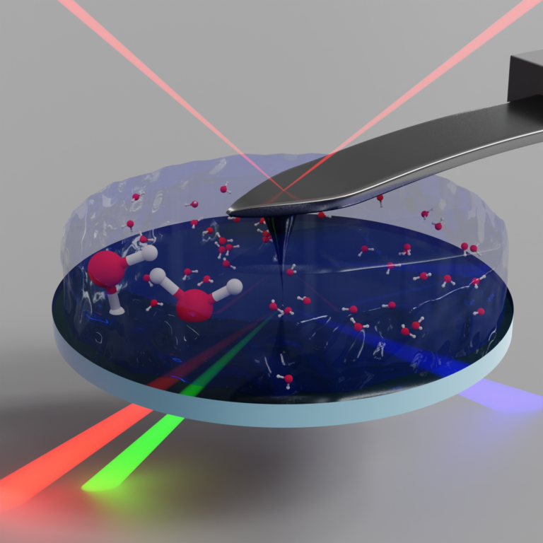 A collaborative research paper by Saman Hosseinpour