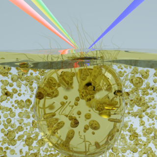 Symbolic picture for the article. The link opens the image in a large view.
